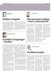 Síða 19