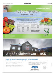 Síða 47