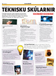 Síða 52