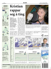 Síða 29