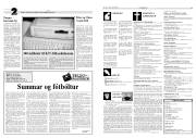 Síða 13