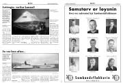 Síða 6