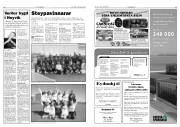 Síða 15