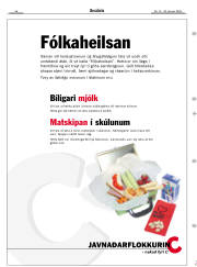 Síða 29