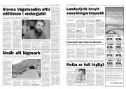 Síða 3
