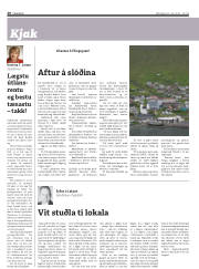 Síða 20