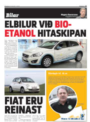 Síða 31