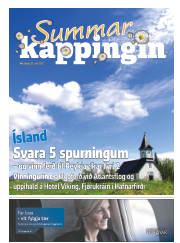 Síða 33