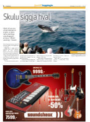 Síða 40