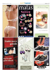 Síða 41