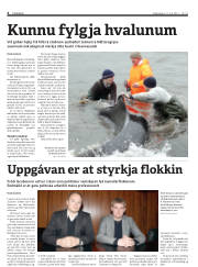 Síða 4