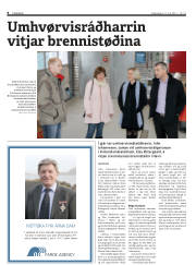 Síða 8