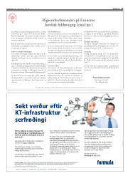 Síða 17