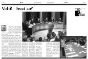 Síða 8