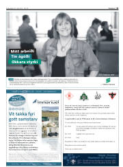 Síða 43
