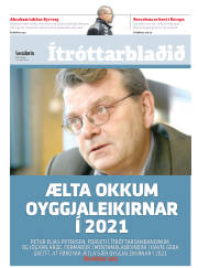 Síða 13
