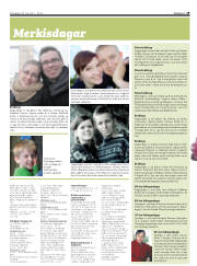 Síða 29