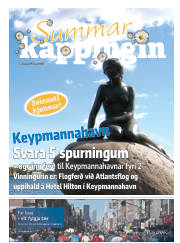 Síða 33