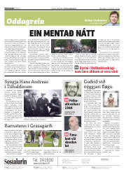 Síða 2