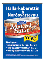 Síða 13