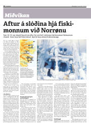 Síða 14