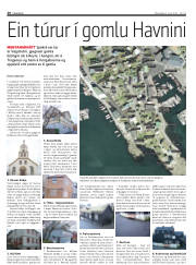 Síða 20