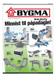 Síða 3