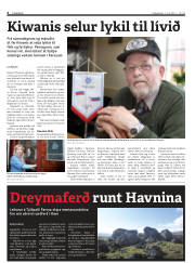 Síða 6
