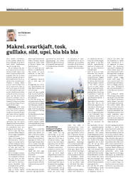 Síða 15