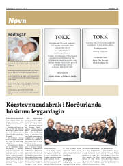 Síða 17