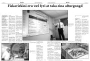 Síða 3