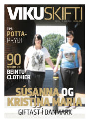 Síða 33