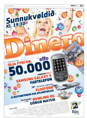 Síða 45