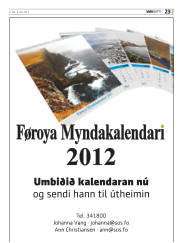 Síða 55