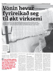 Síða 8