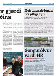 Síða 17