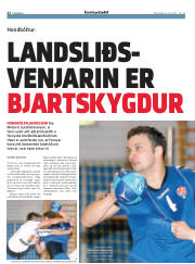 Síða 22