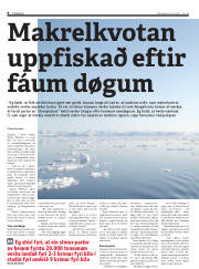 Síða 8
