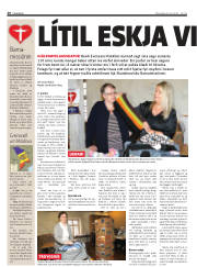 Síða 20