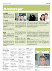 Síða 31