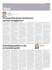 Síða 17
