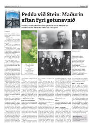 Síða 21