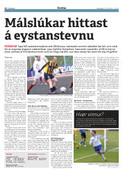 Síða 22