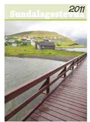 Síða 17