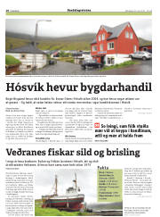 Síða 18
