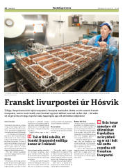 Síða 28