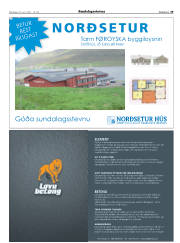 Síða 29