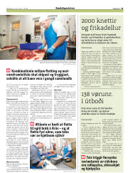 Síða 31