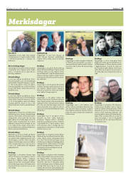 Síða 33