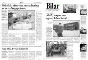 Síða 8